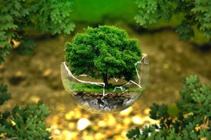 métaphore de l'environnement